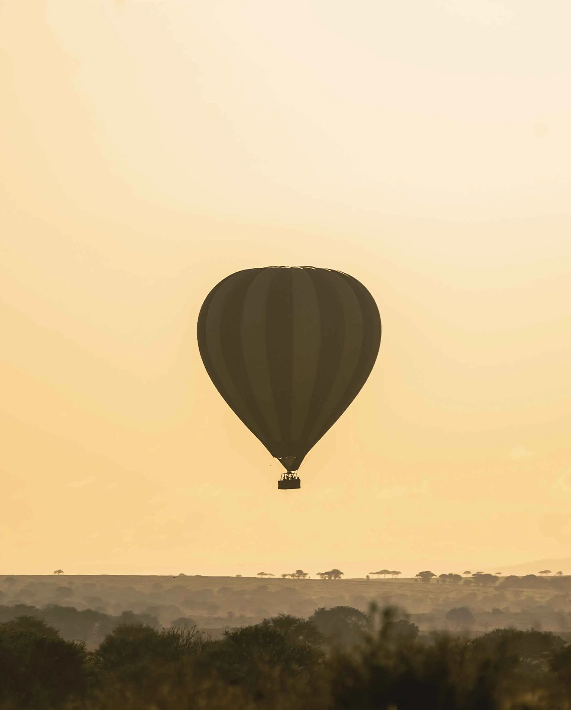 The sky, as you soar effortlessly over the endless plains, drifting on an African breeze in a hot air balloon - the oldest form of manned flight.