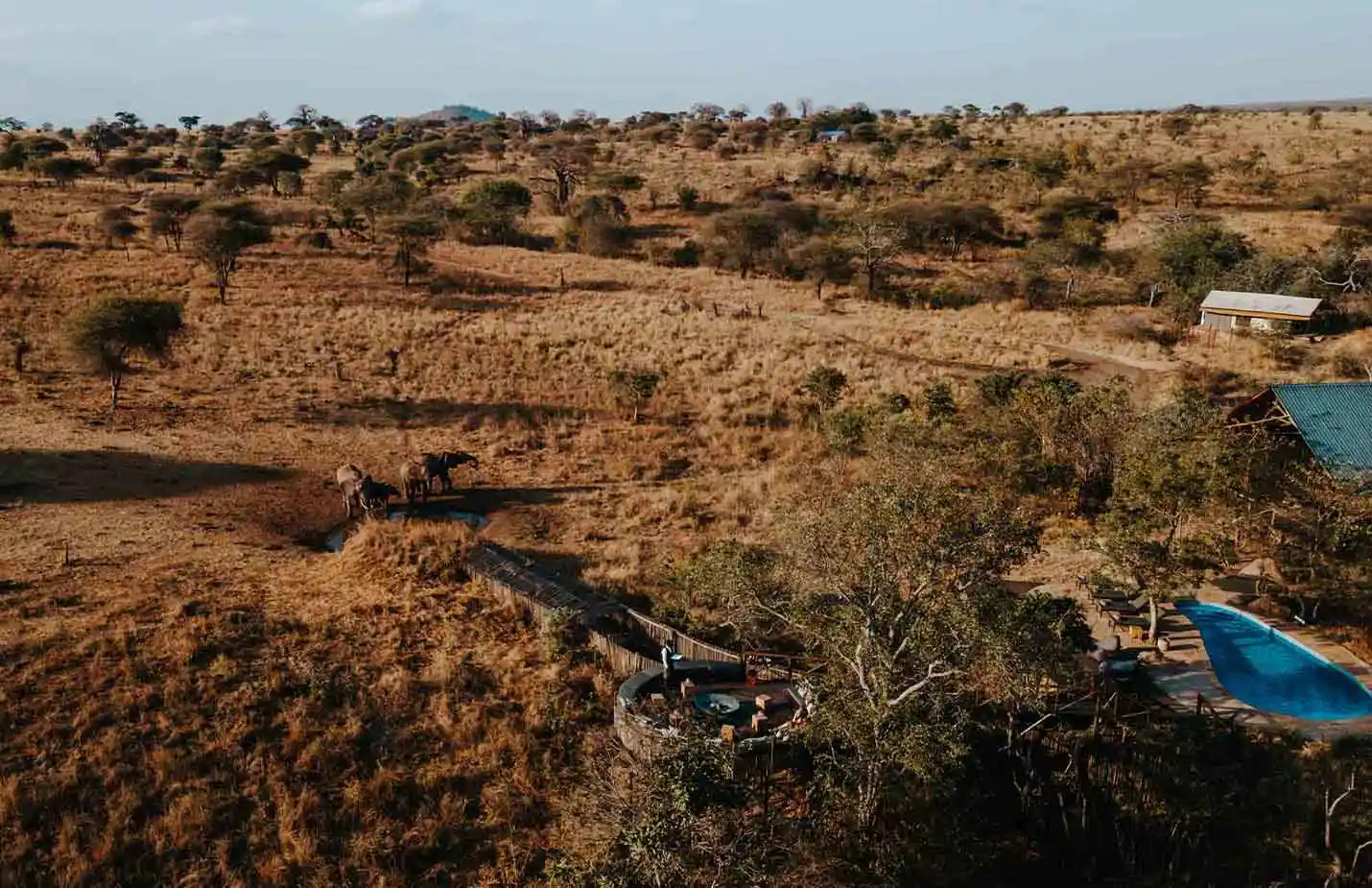 Top view of the Tarangire camp with a beautiful landscape at sunset. 